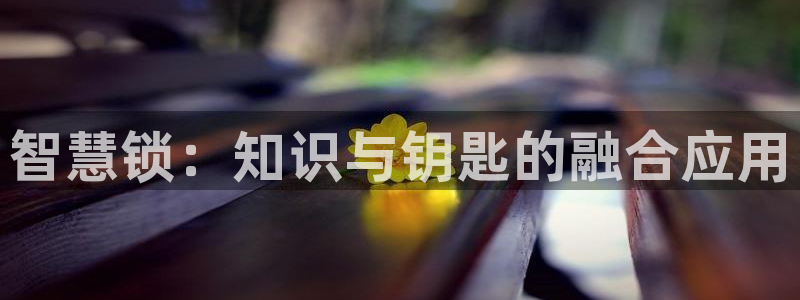 番薯小说免费版下载：智慧锁：知识与钥匙的融合应用